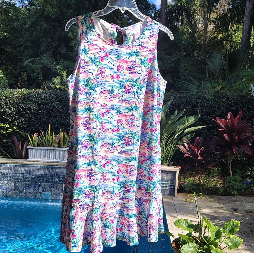 Sleeveless Floral Island Print Dress in Pink & Blue